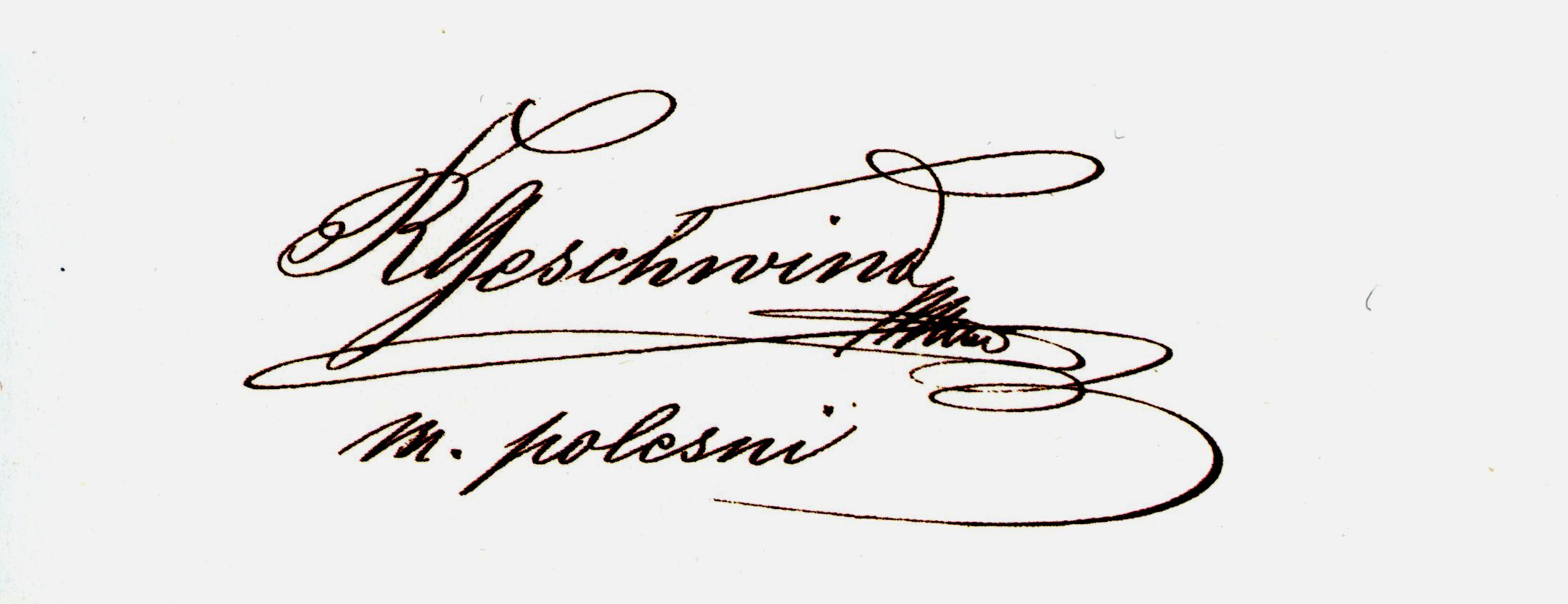 Denník Rudolfa Geschwinda: I/1910